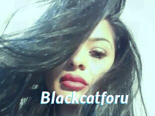 Blackcatforu