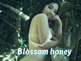 Blossom_honey