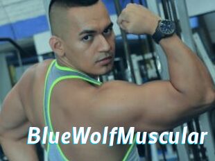 BlueWolfMuscular