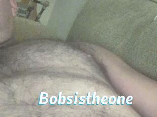 Bobsistheone