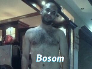 Bosom