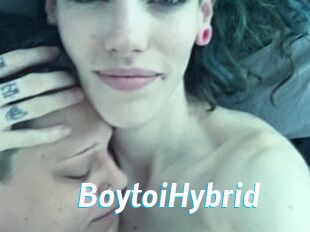 BoytoiHybrid