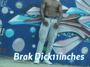 Brak_Dick11inches