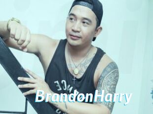 BrandonHarry J Mine