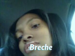 Breche