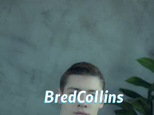 BredCollins J Mine