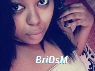 BriDsM