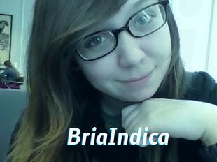 BriaIndica