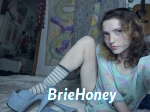 BrieHoney