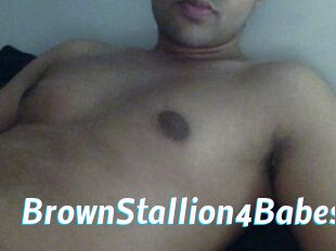 BrownStallion4Babes