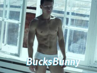 BucksBunny