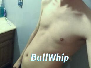 BullWhip