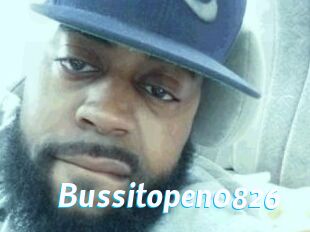Bussitopen0826