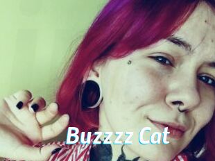 Buzzzz_Cat