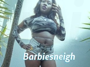 Barbiesneigh