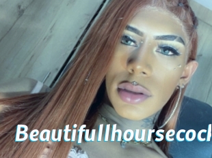 Beautifullhoursecock