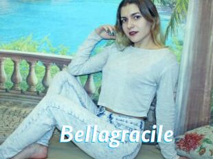 Bellagracile