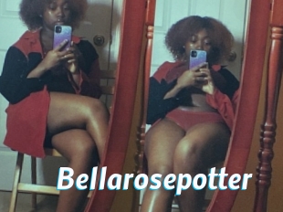 Bellarosepotter