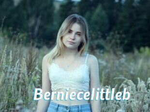 Berniecelittleb