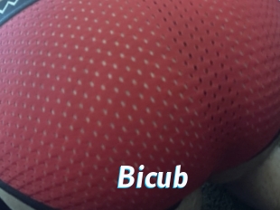 Bicub