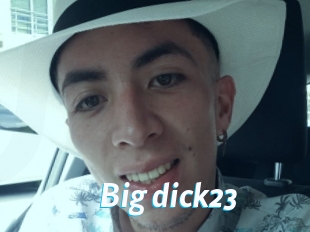 Big_dick23