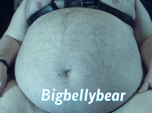 Bigbellybear