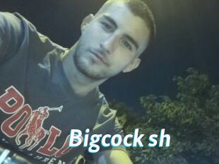 Bigcock_sh