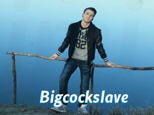 Bigcockslave