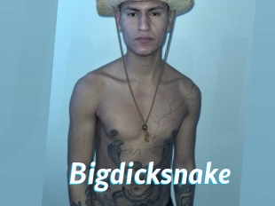 bigdicksnake J Mine