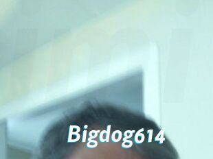 bigdog614 J Mine