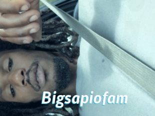 Bigsapiofam