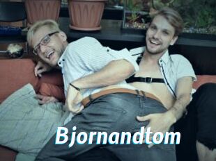 bjornandtom J Mine