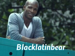 Blacklatinbear