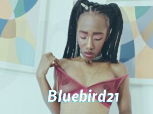 Bluebird21