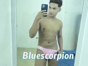 bluescorpion J Mine
