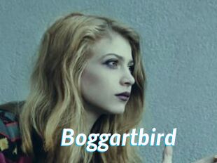 Boggartbird