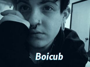 Boicub