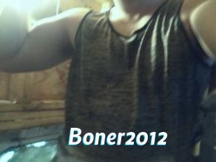 boner2012 J Mine