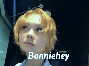 bonniehey J Mine