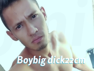 Boybig_dick22cm