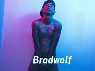 bradwolf J Mine
