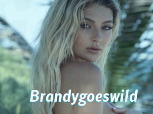 Brandygoeswild