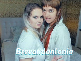 Breeandantonia