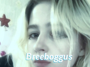 Breeboggus