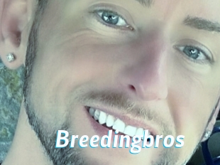Breedingbros
