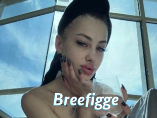Breefigge