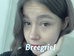 Breegrief
