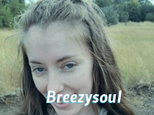 Breezysoul