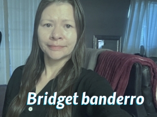 Bridget_banderro