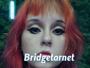 Bridgetarnet